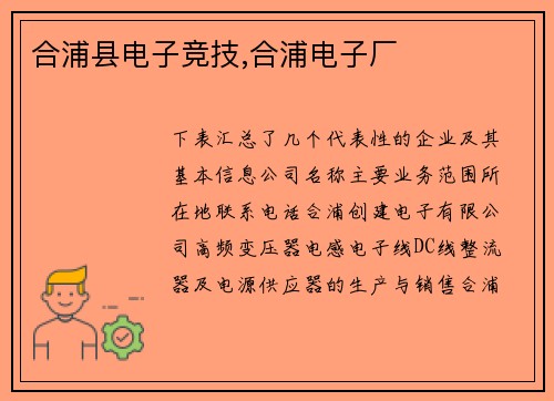 合浦县电子竞技,合浦电子厂